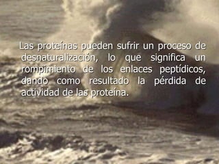 Las proteínas pueden sufrir un proceso de
desnaturalización, lo que significa un
rompimiento de los enlaces peptídicos,
dando como resultado la pérdida de
actividad de las proteína.
 