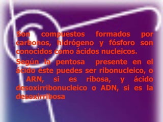Son compuestos formados por
carbonos, hidrógeno y fósforo son
conocidos como ácidos nucleicos.
Según la pentosa presente en el
ácido éste puedes ser ribonucleico, o
ARN, si es ribosa, y ácido
desoxirribonucleico o ADN, si es la
desoxirribosa
 