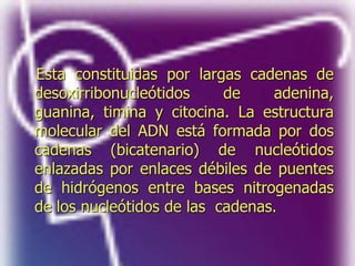 Esta constituidas por largas cadenas de
desoxirribonucleótidos de adenina,
guanina, timina y citocina. La estructura
molecular del ADN está formada por dos
cadenas (bicatenario) de nucleótidos
enlazadas por enlaces débiles de puentes
de hidrógenos entre bases nitrogenadas
de los nucleótidos de las cadenas.
 