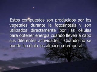Estos compuestos son producidos por los
vegetales durante la fotosíntesis y son
utilizados directamente por las células
para obtener energía cuando lleven a cabo
sus diferentes actividades. Cuando no se
puede la célula los almacena temporal.
 