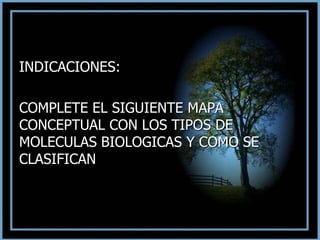 INDICACIONES:
COMPLETE EL SIGUIENTE MAPA
CONCEPTUAL CON LOS TIPOS DE
MOLECULAS BIOLOGICAS Y COMO SE
CLASIFICAN
 
