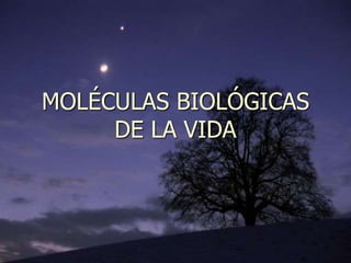 MOLÉCULAS BIOLÓGICAS
DE LA VIDA
 