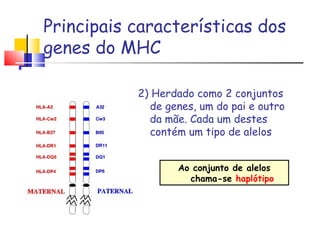 Principais características dos
genes do MHC
Ao conjunto de alelos
chama-se haplótipo
2) Herdado como 2 conjuntos
de genes, um do pai e outro
da mãe. Cada um destes
contém um tipo de alelos
 