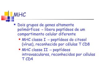 MHC
 Dois grupos de genes altamente
polimórficos libera peptídeos de um→
compartimento celular diferente
 MHC classe I peptídeos do citosol→
(vírus), reconhecido por células T CD8
 MHC classe II peptídeos→
intravasculares, reconhecidos por células
T CD4
 