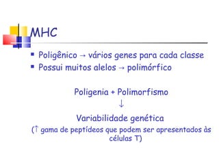 MHC
 Poligênico vários genes para cada classe→
 Possui muitos alelos polimórfico→
Poligenia + Polimorfismo
↓
Variabilidade genética
(↑ gama de peptídeos que podem ser apresentados às
células T)
 