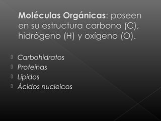  Carbohidratos
 Proteínas
 Lípidos
 Ácidos nucleicos
 