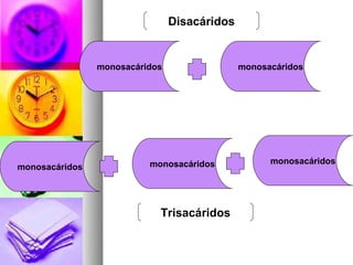 Disacáridos


                monosacáridos                 monosacáridos




                          monosacáridos             monosacáridos
monosacáridos




                            Trisacáridos
 