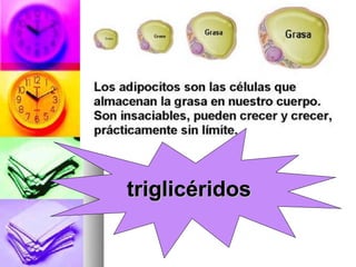 triglicéridos
 