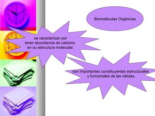 Biomoléculas Orgánicas



      se caracterizan por
tener abundancia de carbono
  en su estructura molecular.




                           son importantes constituyentes estructurales
                                   y funcionales de las células.
 