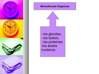 Biomoléculas Orgánicas




- los glúcidos;
- los lípidos;
- las proteínas;
-los ácidos
nucleicos.
 