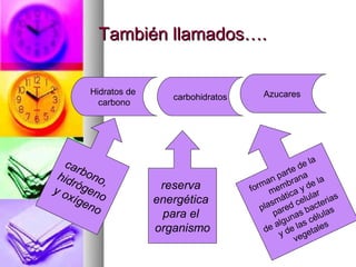 También llamados….


      Hidratos de                         Azucares
                       carbohidratos
        carbono




  car                                                      la
                                                        de
hid bono                                    an
                                                    te
                                                par ana a
    róg ,            reserva             rm emb y de
                                                     r        l
yo     e                               fo m
   xíg no           energética
                                                      a       r
                                                 átic elula rias
      eno                                    sm        c
                                          pla ared bact as
                                                                e
                     para el                  p nas
                                                  u s célu
                                                                 l
                                                lg
                    organismo              d e a de la tales
                                                y          e
                                                      veg
 