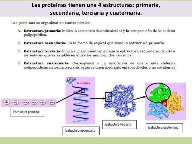 MolÉculas orgánicas