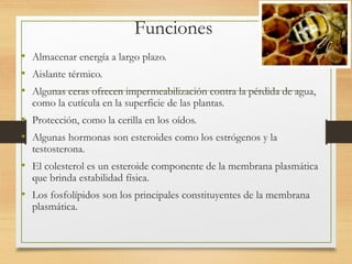 Funciones
• Almacenar energía a largo plazo.
• Aislante térmico.
• Algunas ceras ofrecen impermeabilización contra la pérdida de agua,
como la cutícula en la superficie de las plantas.
• Protección, como la cerilla en los oídos.
• Algunas hormonas son esteroides como los estrógenos y la
testosterona.
• El colesterol es un esteroide componente de la membrana plasmática
que brinda estabilidad física.
• Los fosfolípidos son los principales constituyentes de la membrana
plasmática.
 