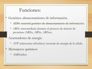 Funciones:
• Genética: almacenamiento de información.
• ADN: material genético de almacenamiento de información.
• ARN: intermediaria durante el proceso de síntesis de
proteínas (ARNr, ARNt, ARNm).
• Acarreadores de energía
• ATP (adenosina trifosfato): moneda de energía de la célula.
• Mensajeros químicos
• AMPcíclico
 