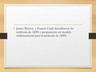 • James Watson y Francis Crick describieron las
molécula de ADN y propusieron un modelo
tridimensional para la molécula de ADN.
 