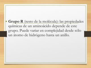• Grupo R (resto de la molécula): las propiedades
químicas de un aminoácido depende de este
grupo. Puede variar en complejidad desde sólo
un átomo de hidrógeno hasta un anillo.
 