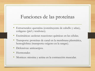 Funciones de las proteínas
• Estructurales: queratina (constituyente de cabello y uñas),
colágeno (piel y tendones).
• Enzimáticas: aceleran reacciones químicas en las células.
• Transporte: proteínas de canal en la membrana plasmática,
hemoglobina (transporta oxígeno en la sangre).
• Defensivas: anticuerpos.
• Hormonales
• Motrices: miosina y actina en la contracción muscular.
 
