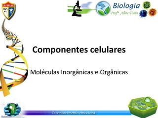 Componentes celulares

Moléculas Inorgânicas e Orgânicas
 