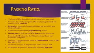 PACKING RATIO:
 The length of DNA divided by the length into which it is packaged.
 To achieve the overall packing ratio, DNA is not packaged directly into
final structure of chromatin.
 Chromatin is composed of repeating 200 base pair unit, which were
called nucleosome.
 Nucleosome was described by Roger Kornberg in 1974.
 146 base pairs of DNA wrapped 1.75 times around a histone core.
 One molecule H1 is bound to the DNA as it enters and exits each
nucleosome core particle.
 This forms a chromatin subunit known as Chromatosome; consist of 166
base pairs of DNA.
 The histones cores act as magnetic forms for the coiling of DNA.
 Nucleosomes wraps up into higher order coils called super coils.
 