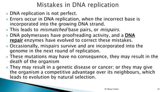 Incorrect Dna Replication MOLECULAR BIOLOGY introduction for lab.pptx