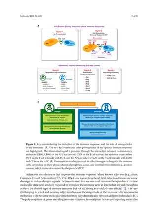 Molecules 2019, 24, 4620 3 of 20
Molecules 2018 3 of 19
Figure 1. Key events during the induction of the immune response, and the role of nanoparticles in
the immunity. (A) The two key events and other prerequisites of the optimal immune response are
highlighted. The stimulation signal is provided through the interaction between co-stimulatory
molecules (CD80, CD86) on the APC surface and CD28 on the T-cell surface; the inhibition occurs
when PD-1 on the T-cell interacts with PD-L1 on the APC, or when CTLA4 on the T-cell interacts with
CD80 and CD86 on the APC. (B) Nanoparticles can be perceived as either stranger or danger by the
immune cells, depending on their physicochemical properties, cargo, and external environment (e.g.,
protein corona), which is also determined by the particle’s PCP.
Adjuvants are substances that improve the immune response. Many known adjuvants (e.g.,
alum, Complete Freund Adjuvant or CFA, CpG DNA, and monophosphoryl lipid A) act as strangers
or cause damage to induce danger signals. Adjuvants used in vaccines and immunotherapies have
diverse molecular structures and are required to stimulate the immune cells at levels that are just
enough to achieve the desired type of immune response but not too strong to avoid adverse effects
[12]. It is very challenging to select and develop adjuvants because the magnitude of the immune
cells’ response to molecules with the same molecular structure may vary dramatically between
different individuals [13]. The polymorphism of genes encoding immune receptors, transcription
factors and signaling molecules involved in the immune responses is responsible for the diversity of
individual responses to adjuvants among humans.
Figure 1. Key events during the induction of the immune response, and the role of nanoparticles
in the immunity. (A) The two key events and other prerequisites of the optimal immune response
are highlighted. The stimulation signal is provided through the interaction between co-stimulatory
molecules (CD80, CD86) on the APC surface and CD28 on the T-cell surface; the inhibition occurs when
PD-1 on the T-cell interacts with PD-L1 on the APC, or when CTLA4 on the T-cell interacts with CD80
and CD86 on the APC. (B) Nanoparticles can be perceived as either stranger or danger by the immune
cells, depending on their physicochemical properties, cargo, and external environment (e.g., protein
corona), which is also determined by the particle’s PCP.
Adjuvants are substances that improve the immune response. Many known adjuvants (e.g., alum,
Complete Freund Adjuvant or CFA, CpG DNA, and monophosphoryl lipid A) act as strangers or cause
damage to induce danger signals. Adjuvants used in vaccines and immunotherapies have diverse
molecular structures and are required to stimulate the immune cells at levels that are just enough to
achieve the desired type of immune response but not too strong to avoid adverse effects [12]. It is very
challenging to select and develop adjuvants because the magnitude of the immune cells’ response to
molecules with the same molecular structure may vary dramatically between different individuals [13].
The polymorphism of genes encoding immune receptors, transcription factors and signaling molecules
 