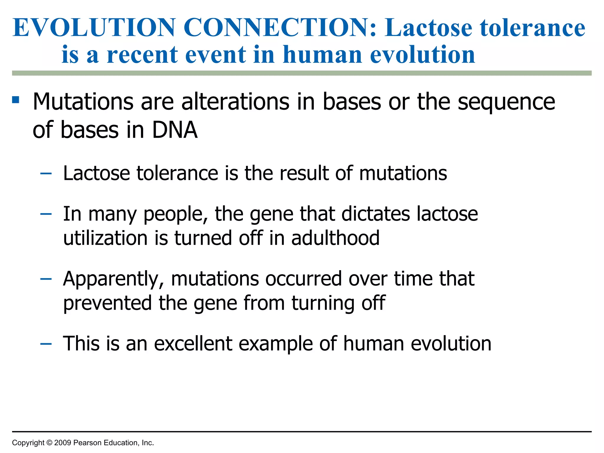 EVOLUTION CONNECTION:  Lactose tolerance is a recent event in human evolution Mutations are alterations in bases or the sequence of bases in DNA Lactose tolerance is the result of mutations In many people, the gene that dictates lactose utilization is turned off in adulthood Apparently, mutations occurred over time that prevented the gene from turning off This is an excellent example of human evolution Copyright © 2009 Pearson Education, Inc. 