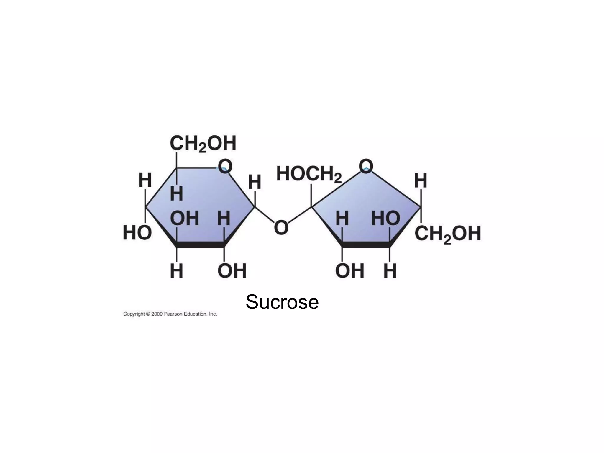 Sucrose 