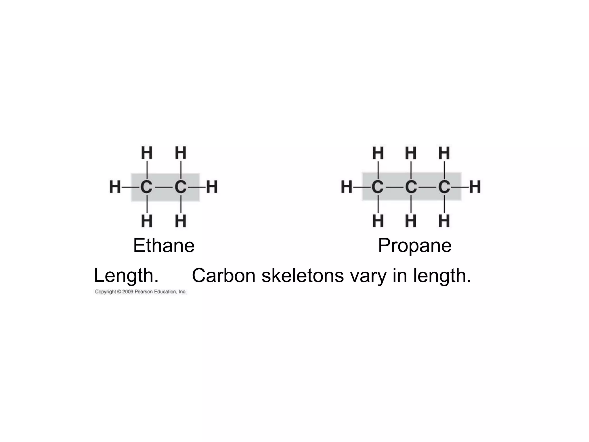 Carbon skeletons vary in length. Propane Ethane Length. 