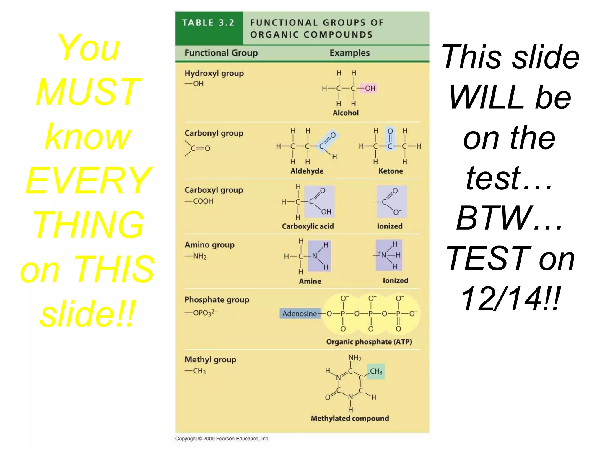 You MUST know EVERYTHING on THIS slide!! This slide WILL be on the test… BTW… TEST on 12/14!! 