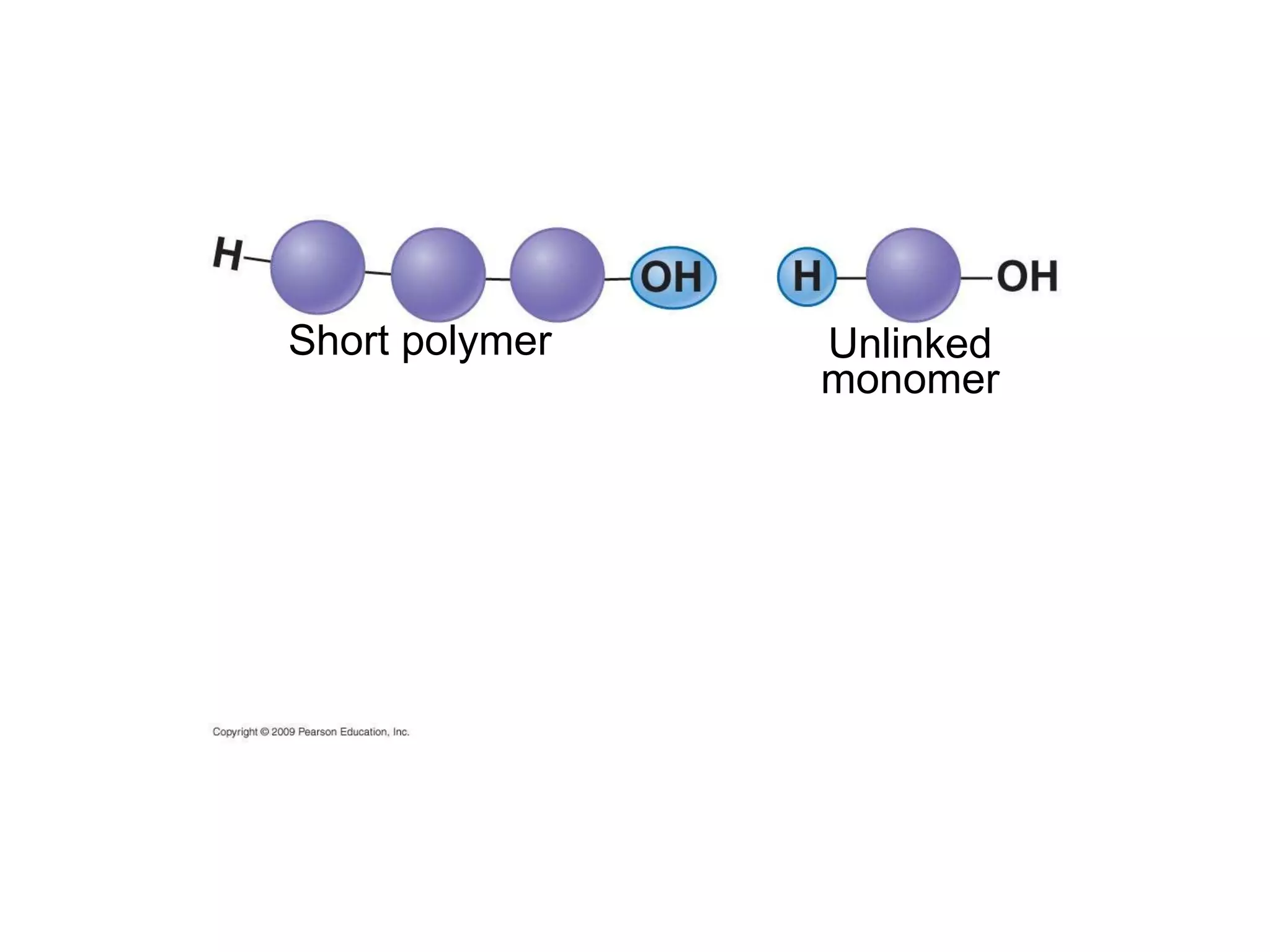 Unlinked monomer Short polymer 