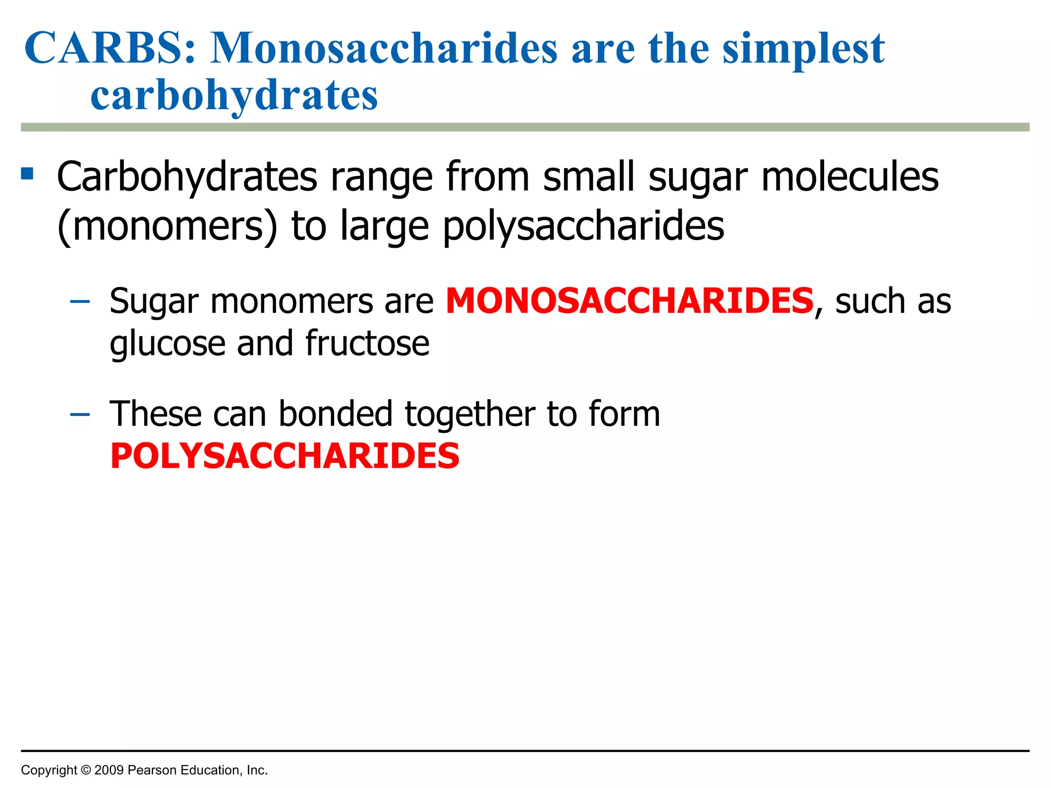 CARBS: Monosaccharides are the simplest carbohydrates Carbohydrates range from small sugar molecules (monomers) to large polysaccharides Sugar monomers are  MONOSACCHARIDES , such as glucose and fructose These can bonded together to form  POLYSACCHARIDES Copyright © 2009 Pearson Education, Inc. 