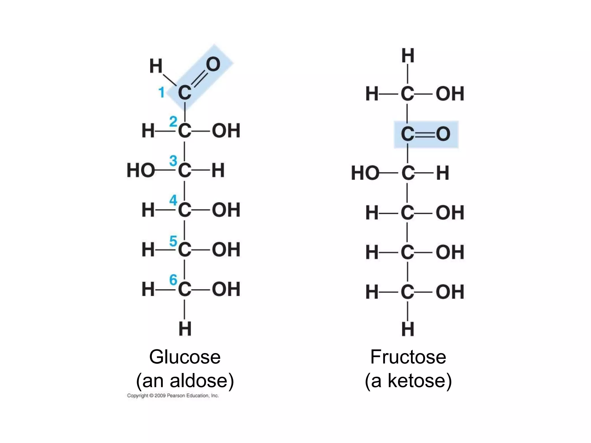 Glucose (an aldose) Fructose (a ketose) 