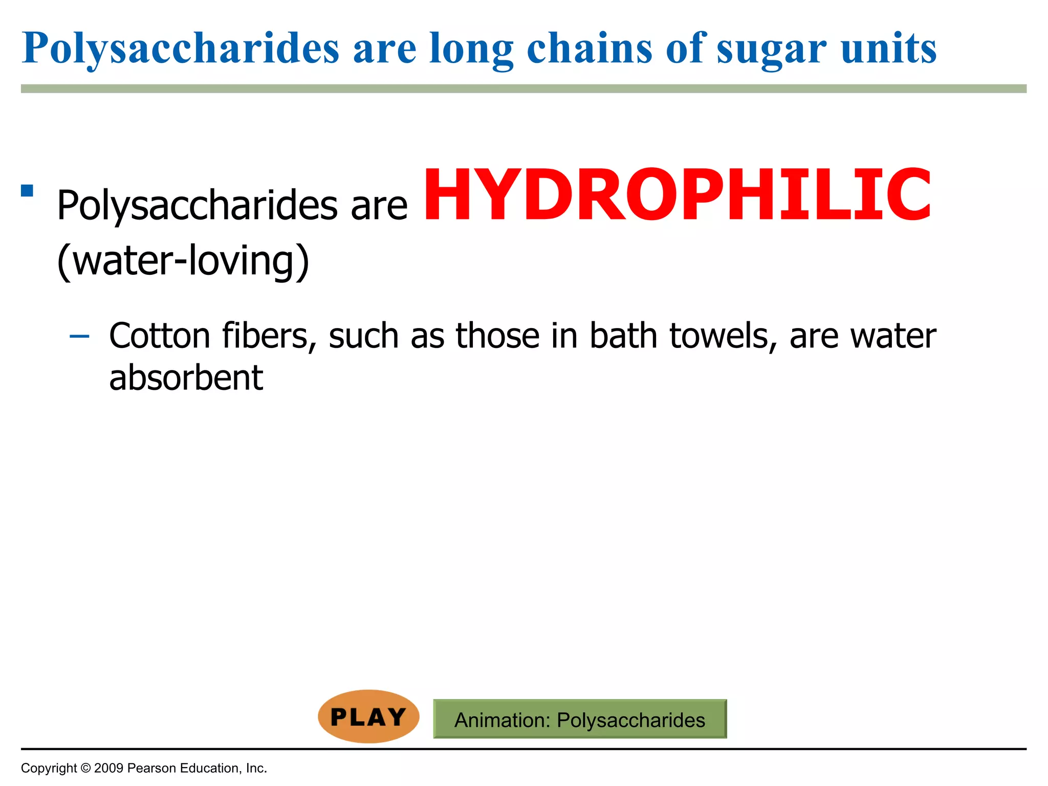 Polysaccharides are long chains of sugar units Polysaccharides are  HYDROPHILIC  (water-loving) Cotton fibers, such as those in bath towels, are water absorbent Copyright © 2009 Pearson Education, Inc. Animation:  Polysaccharides 