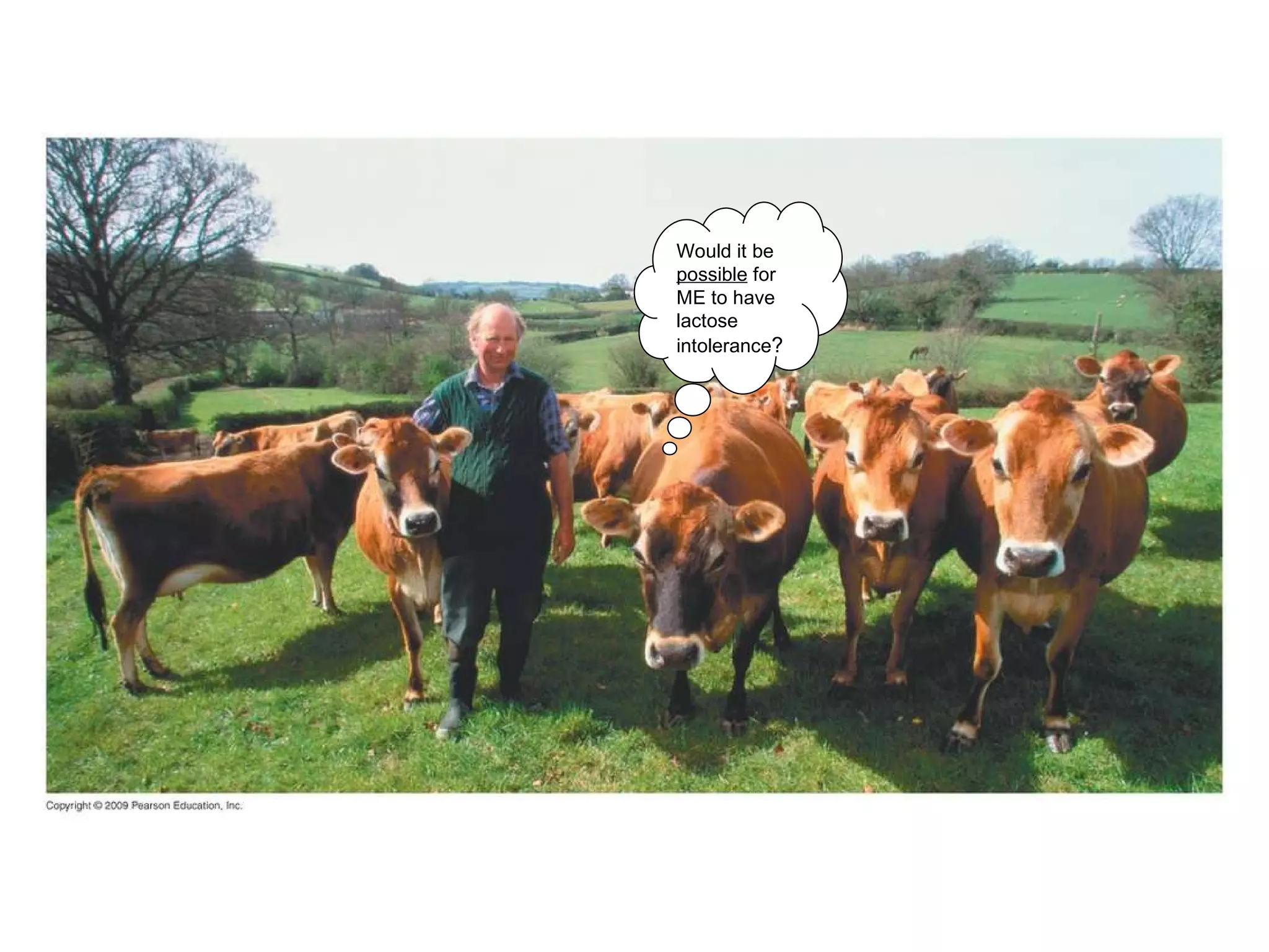 Would it be  possible  for ME to have lactose intolerance ? 