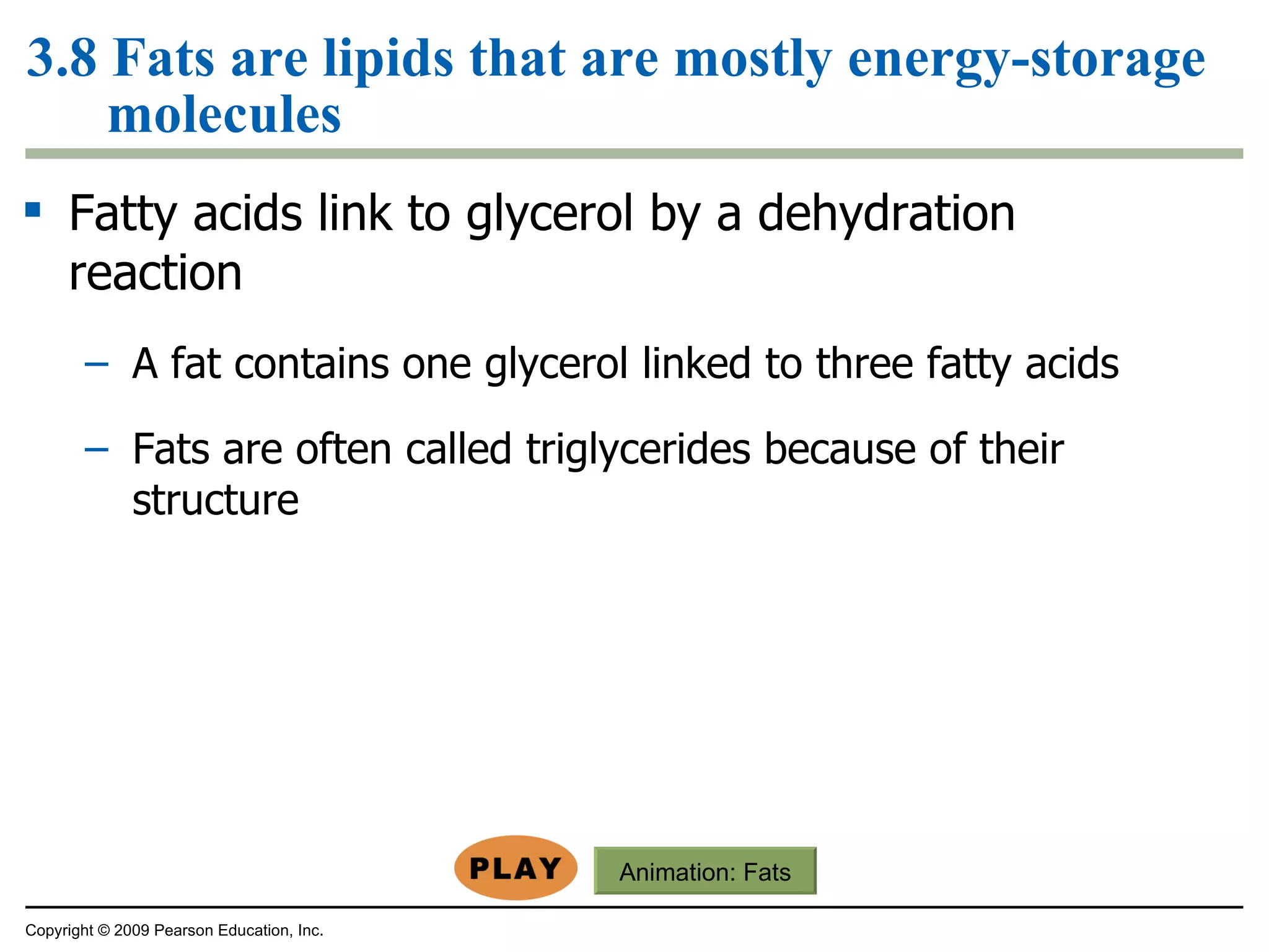 3.8 Fats are lipids that are mostly energy-storage molecules Fatty acids link to glycerol by a dehydration reaction A fat contains one glycerol linked to three fatty acids Fats are often called triglycerides because of their structure Copyright © 2009 Pearson Education, Inc. Animation:  Fats 