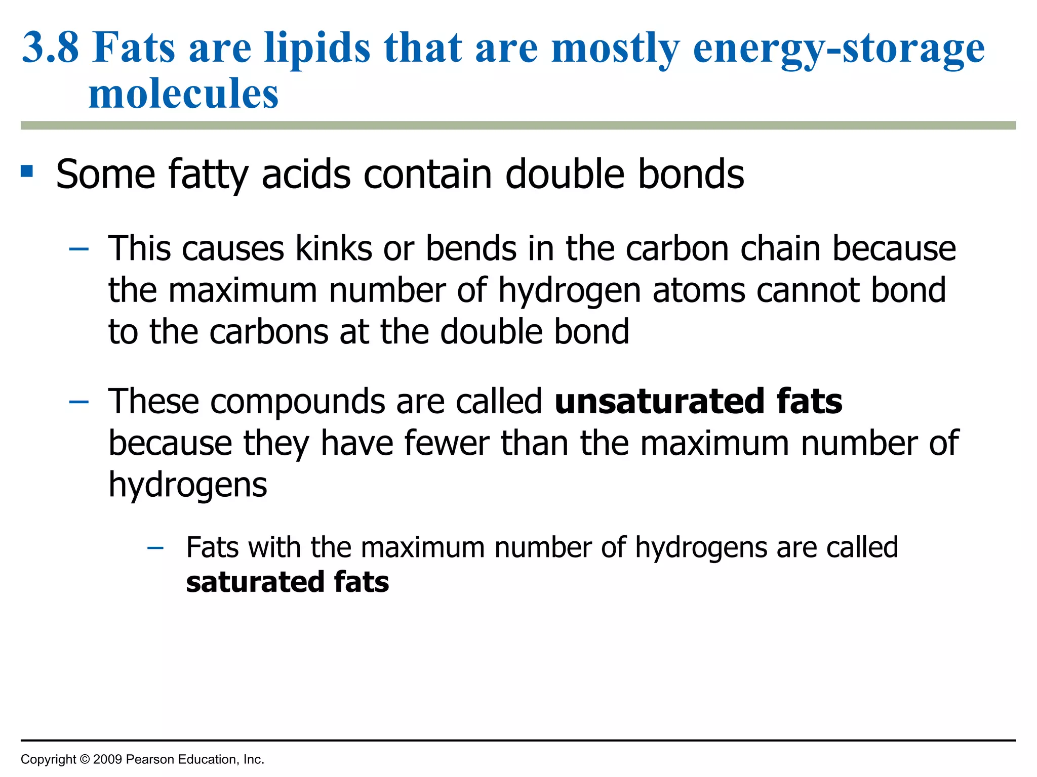 3.8 Fats are lipids that are mostly energy-storage molecules Some fatty acids contain double bonds This causes kinks or bends in the carbon chain because the maximum number of hydrogen atoms cannot bond to the carbons at the double bond These compounds are called  unsaturated   fats  because they have fewer than the maximum number of hydrogens Fats with the maximum number of hydrogens are called  saturated fats Copyright © 2009 Pearson Education, Inc. 