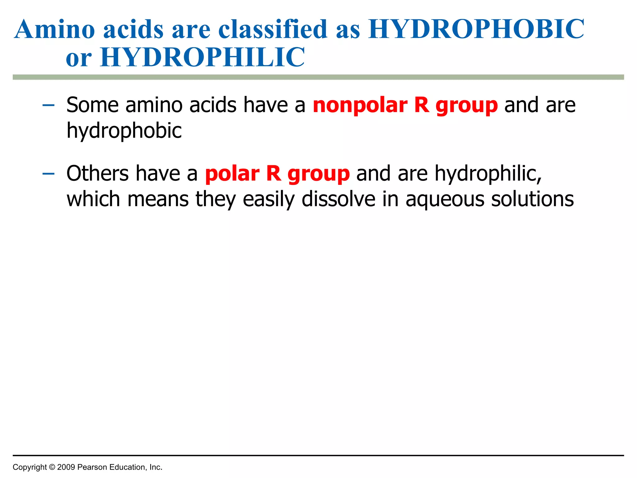 Amino acids are classified as HYDROPHOBIC or HYDROPHILIC Some amino acids have a  nonpolar R group  and are hydrophobic Others have a  polar R group  and are hydrophilic, which means they easily dissolve in aqueous solutions Copyright © 2009 Pearson Education, Inc. 
