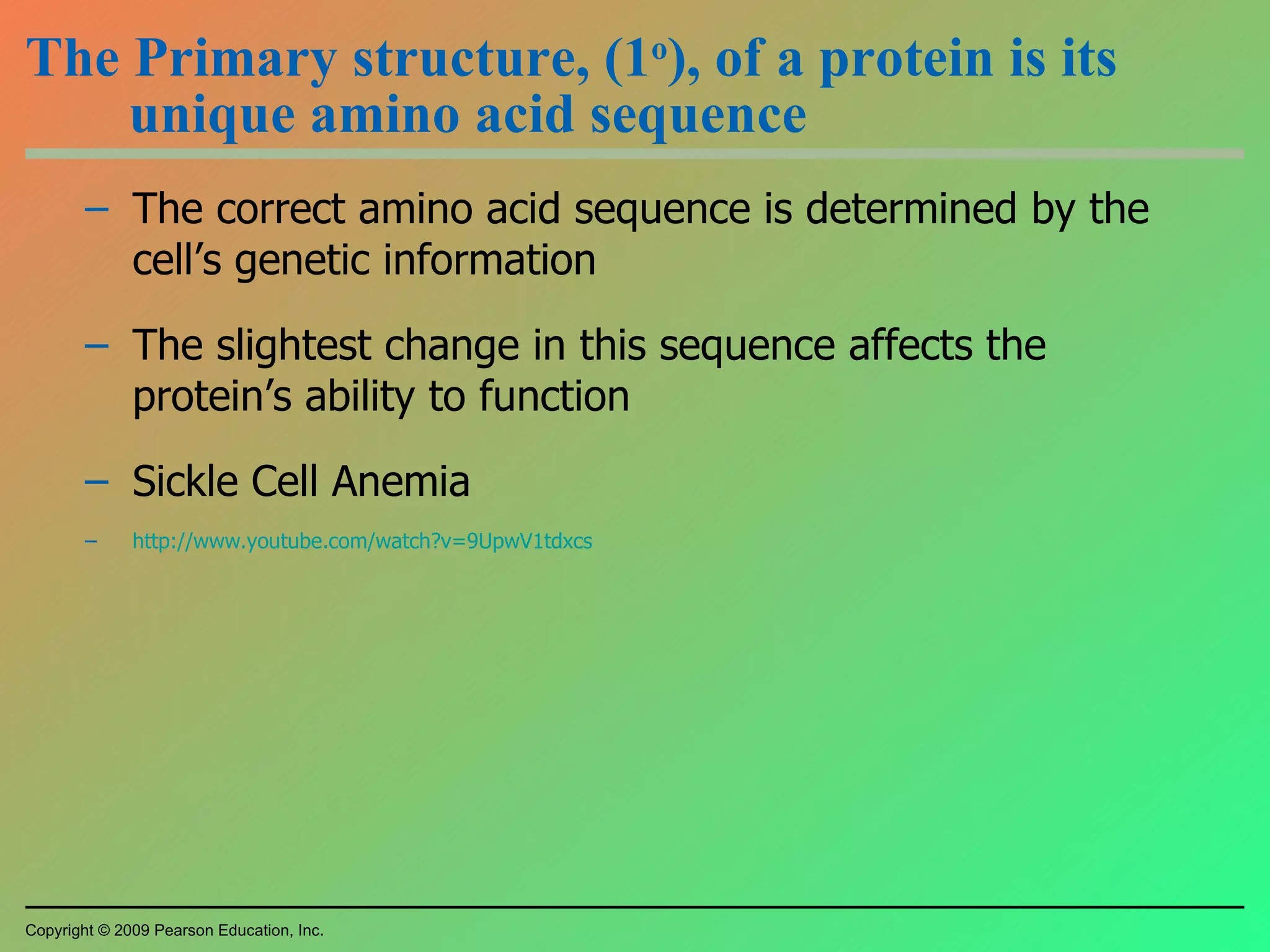The Primary structure, (1 o ), of a protein is its unique amino acid sequence The correct amino acid sequence is determined by the cell’s genetic information The slightest change in this sequence affects the protein’s ability to function Sickle Cell Anemia http://www.youtube.com/watch?v=9UpwV1tdxcs Copyright © 2009 Pearson Education, Inc. 