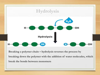 Molecules of life | PPT