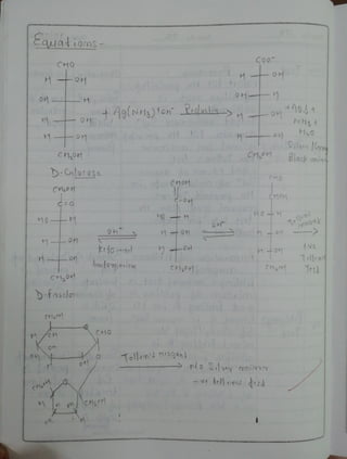 Molecules Of Life Bsc 2nd Semester Chemistry Practical | PDF