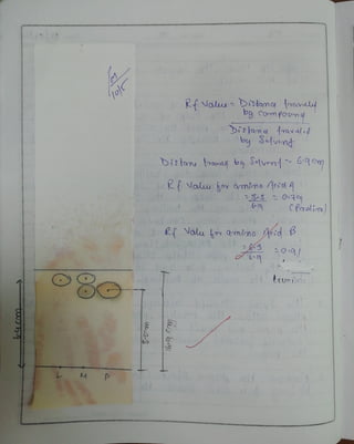 Molecules Of Life Bsc 2nd Semester Chemistry Practical | PDF