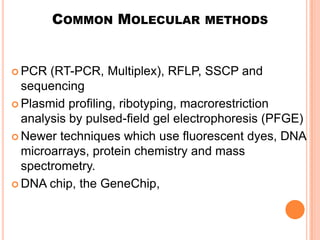 COMMON MOLECULAR          METHODS



 PCR  (RT-PCR, Multiplex), RFLP, SSCP and
  sequencing
 Plasmid profiling, ribotyping, macrorestriction
  analysis by pulsed-field gel electrophoresis (PFGE)
 Newer techniques which use fluorescent dyes, DNA
  microarrays, protein chemistry and mass
  spectrometry.
 DNA chip, the GeneChip,
 