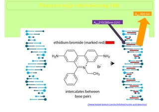 molekularna10-13.pptx