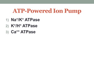 ATP-Powered Ion Pump 
1) Na+/K+ ATPase 
2) K+/H+ ATPase 
3) Ca++ ATPase 
 