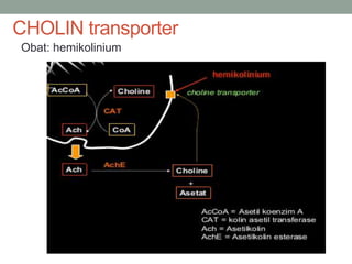 CHOLIN transporter 
Obat: hemikolinium 
 