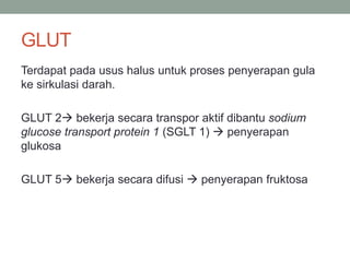 GLUT 
Terdapat pada usus halus untuk proses penyerapan gula 
ke sirkulasi darah. 
GLUT 2 bekerja secara transpor aktif dibantu sodium 
glucose transport protein 1 (SGLT 1)  penyerapan 
glukosa 
GLUT 5 bekerja secara difusi  penyerapan fruktosa 
 