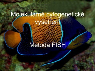 Molekulárně cytogenetické vyšetření Metoda FISH 