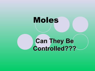 Moles
Can They BeCan They Be
Controlled???Controlled???
 
