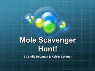 Mole Scavenger Hunt! By Emily Bowman & Kelsey Latimer  