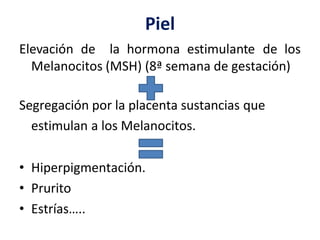Piel
Elevación de la hormona estimulante de los
Melanocitos (MSH) (8ª semana de gestación)
Segregación por la placenta sustancias que
estimulan a los Melanocitos.
• Hiperpigmentación.
• Prurito
• Estrías…..
 